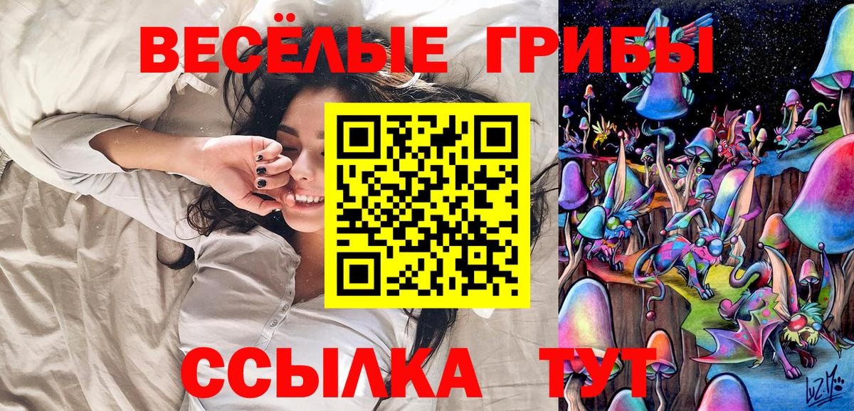 Галлюциногенные грибы мухоморы Мценск